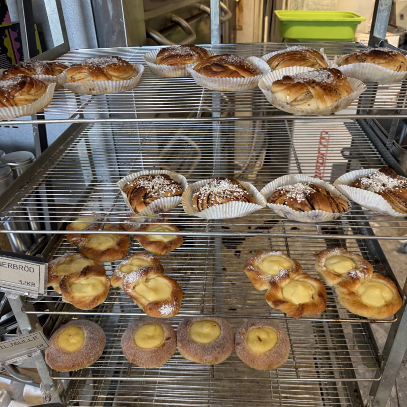 Photo from Surdegskungen by Julia H. (25/10/2025)