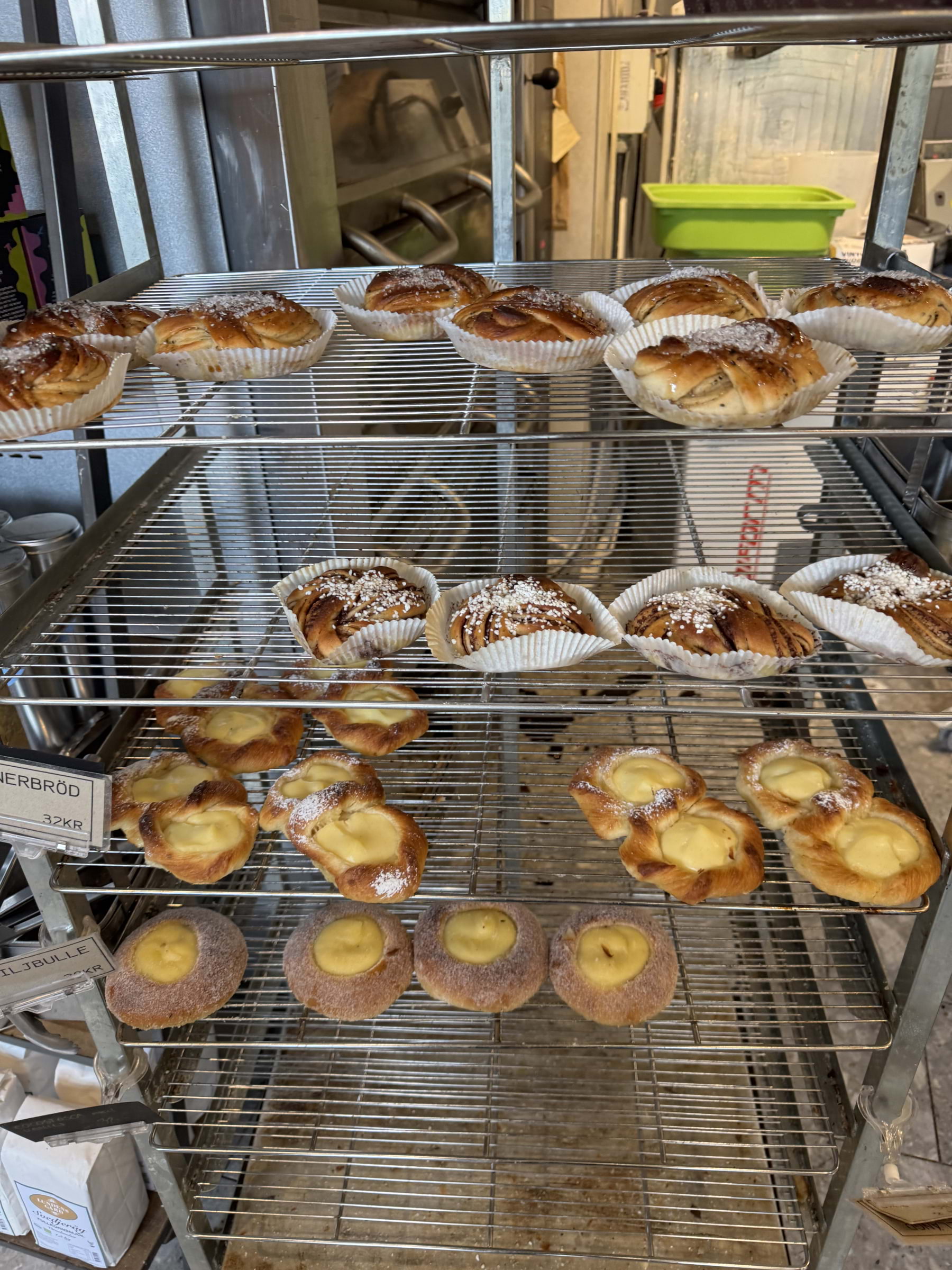 Photo from Surdegskungen by Julia H. (25/10/2025)