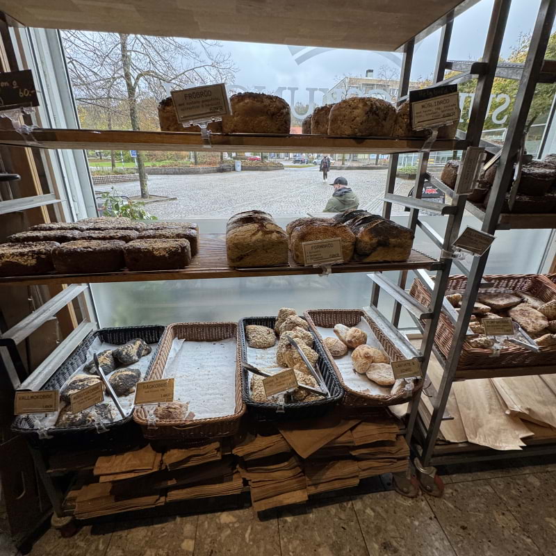 Photo from Surdegskungen by Julia H. (25/10/2025)