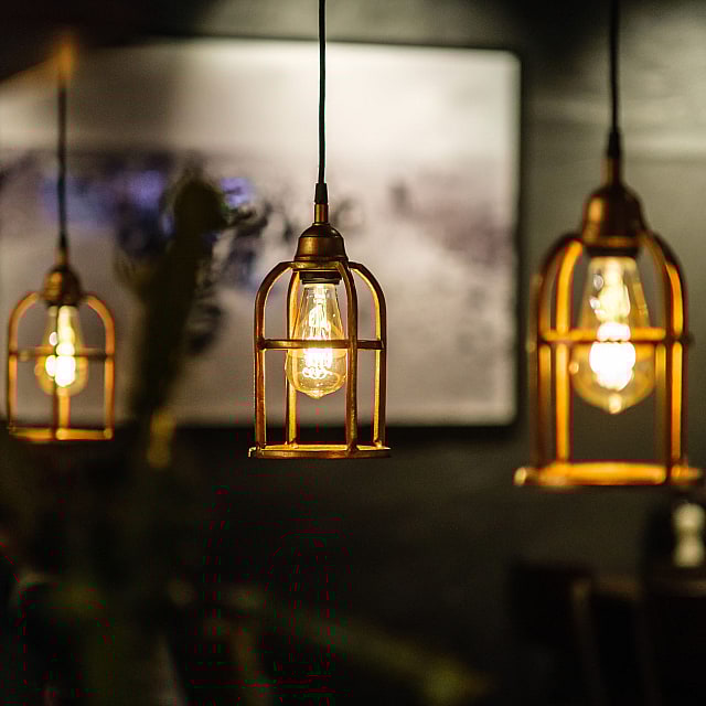 Texas Longhorn Södra Vägen