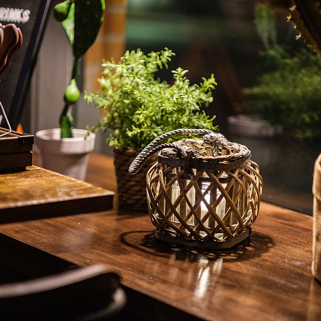 Texas Longhorn Södra Vägen