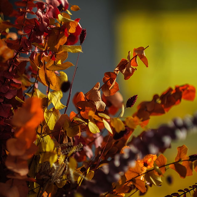 The Social Bar & Bistro