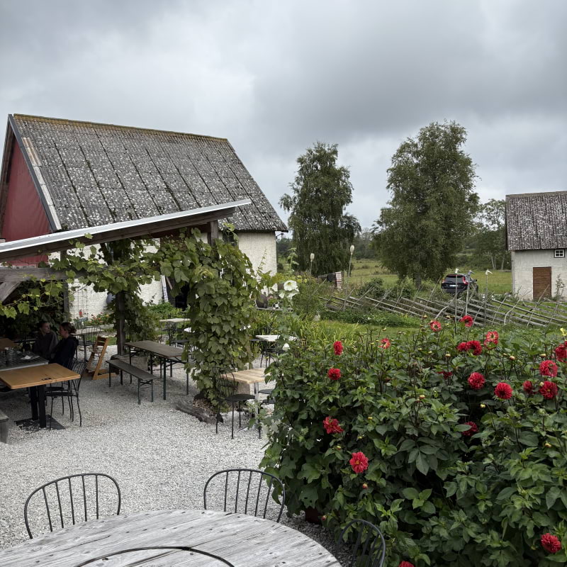 Bild från Pastamakarna Fårö av Jessica K. (2025-08-31)