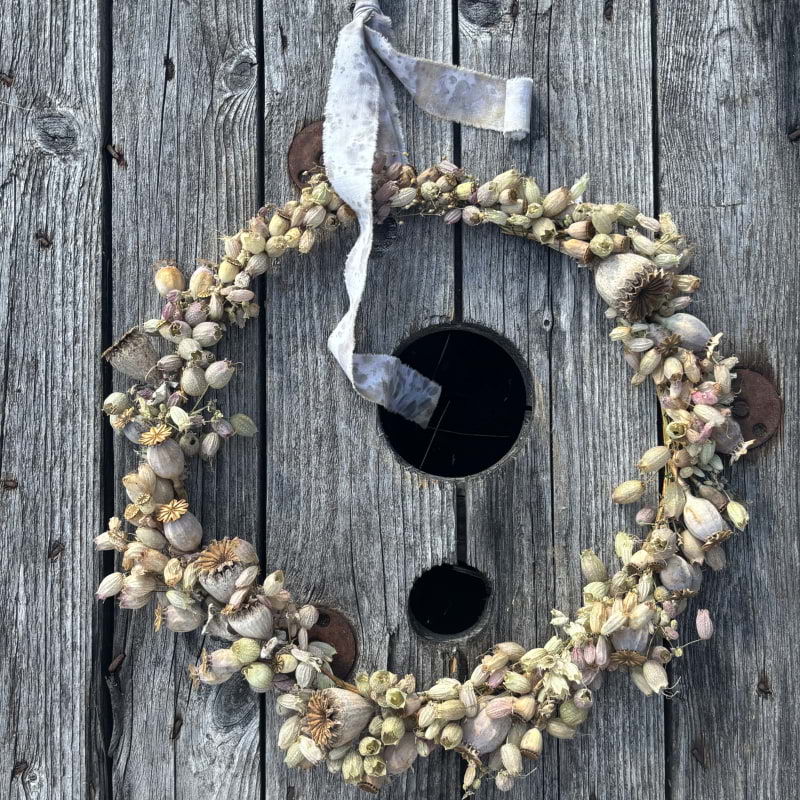 Billede fra Vildplocket F&aring;r&ouml; af Alina&nbsp;R. (12.05.2026)