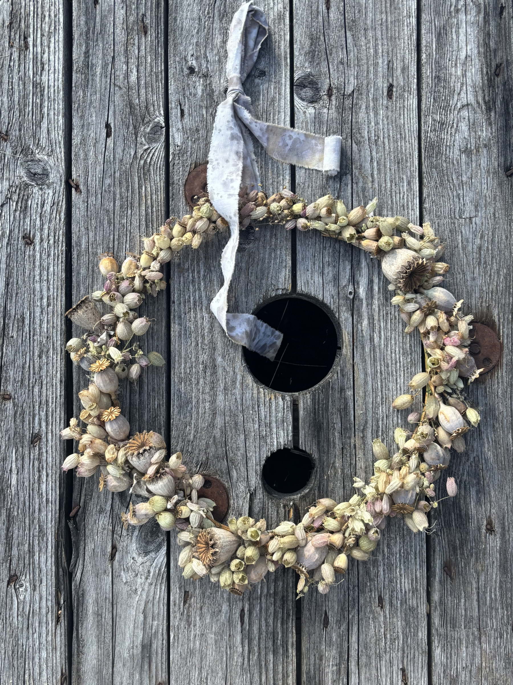 Billede fra Vildplocket F&aring;r&ouml; af Alina&nbsp;R. (12.05.2026)