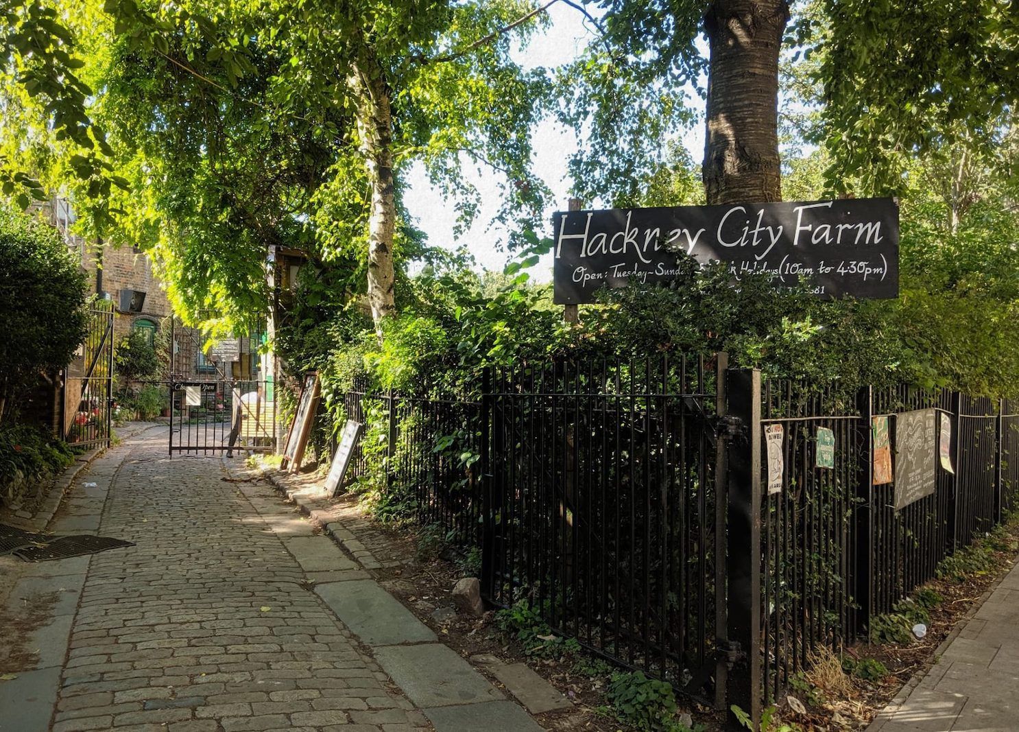 Hackney City Farm – Cheap/free summer activities