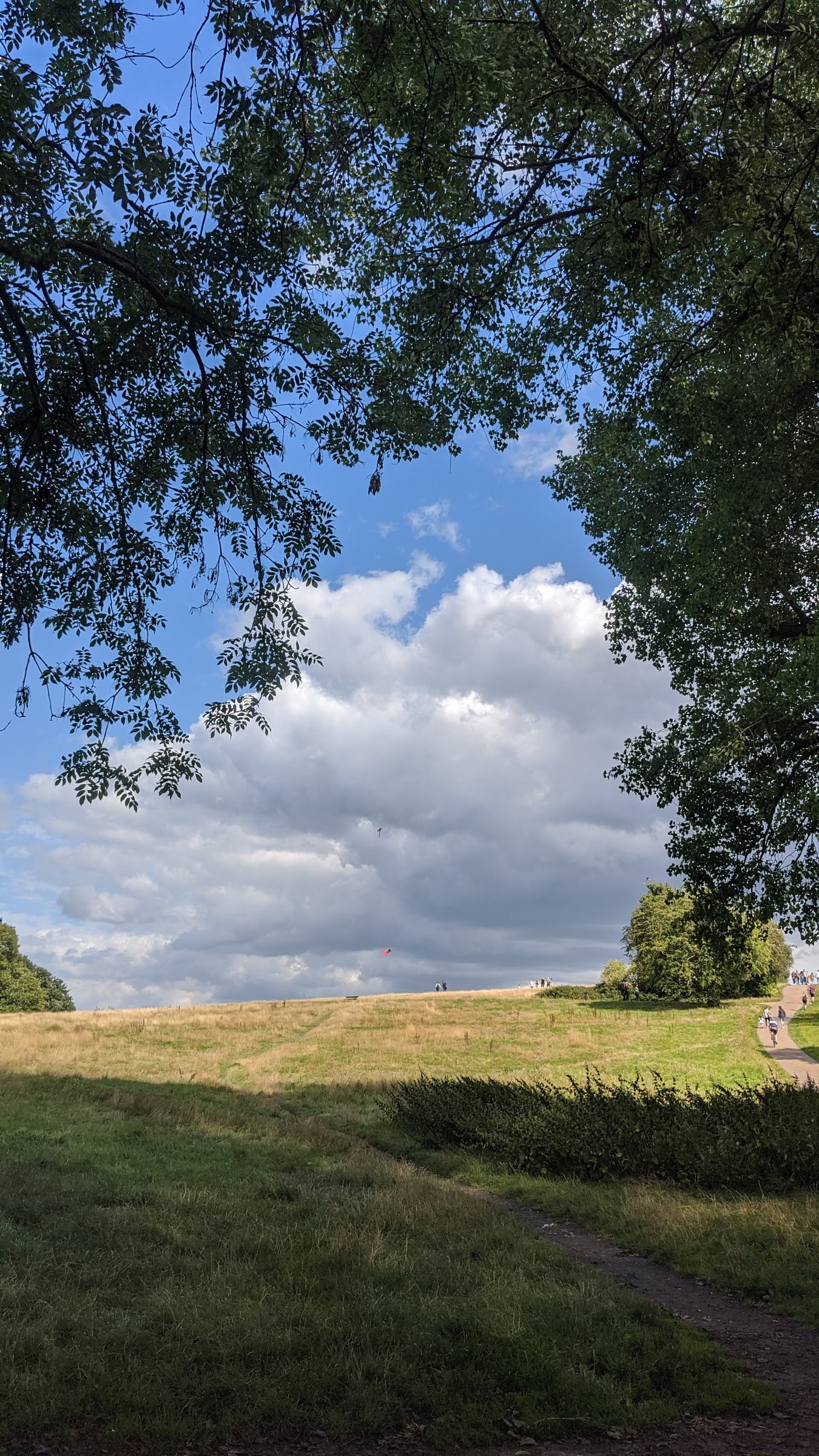 Bild från Hampstead Heath av Vesna D. (2022-09-20)