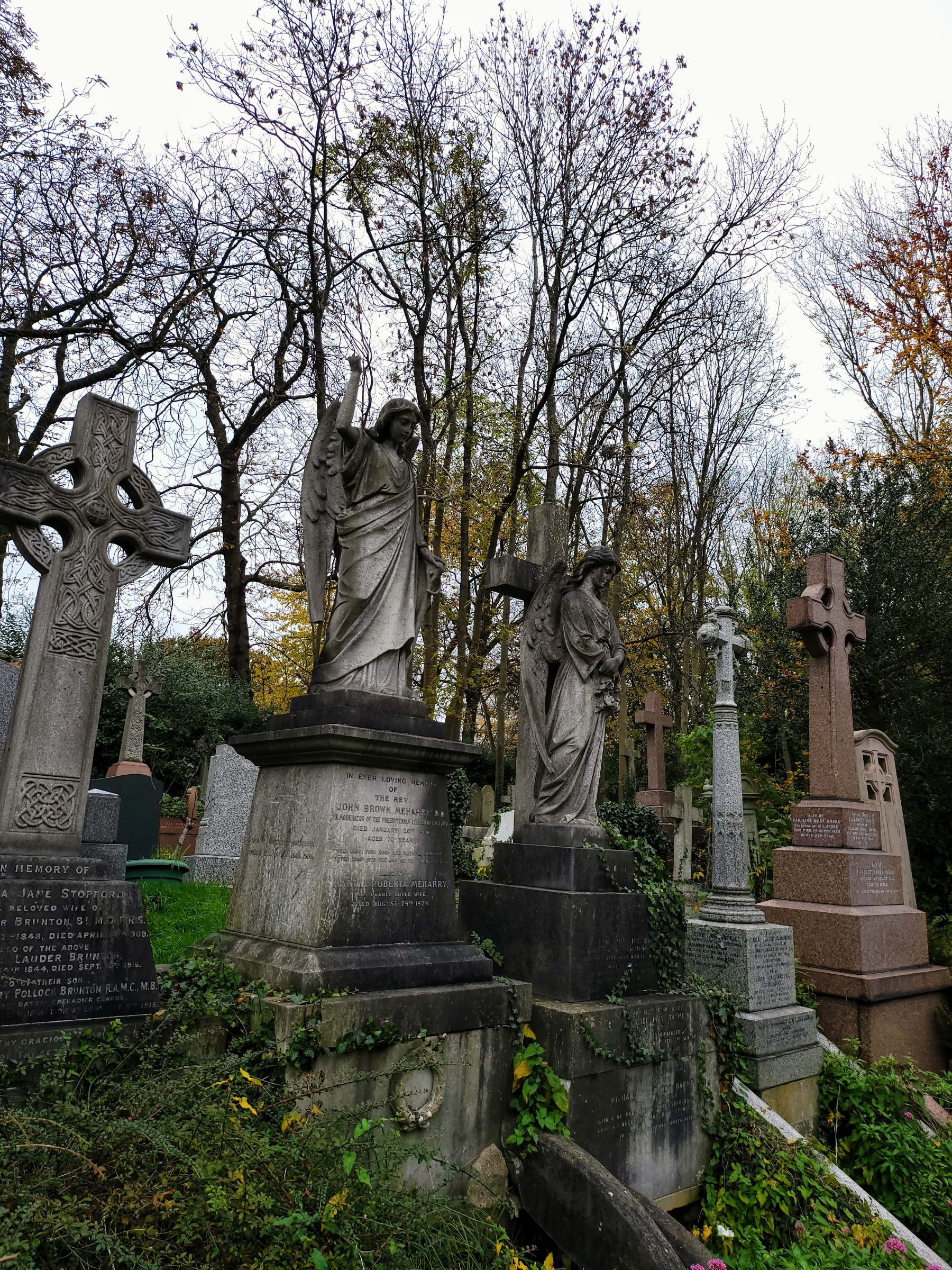 Bild från Highgate Cemetery av Vesna D. (2022-09-19)