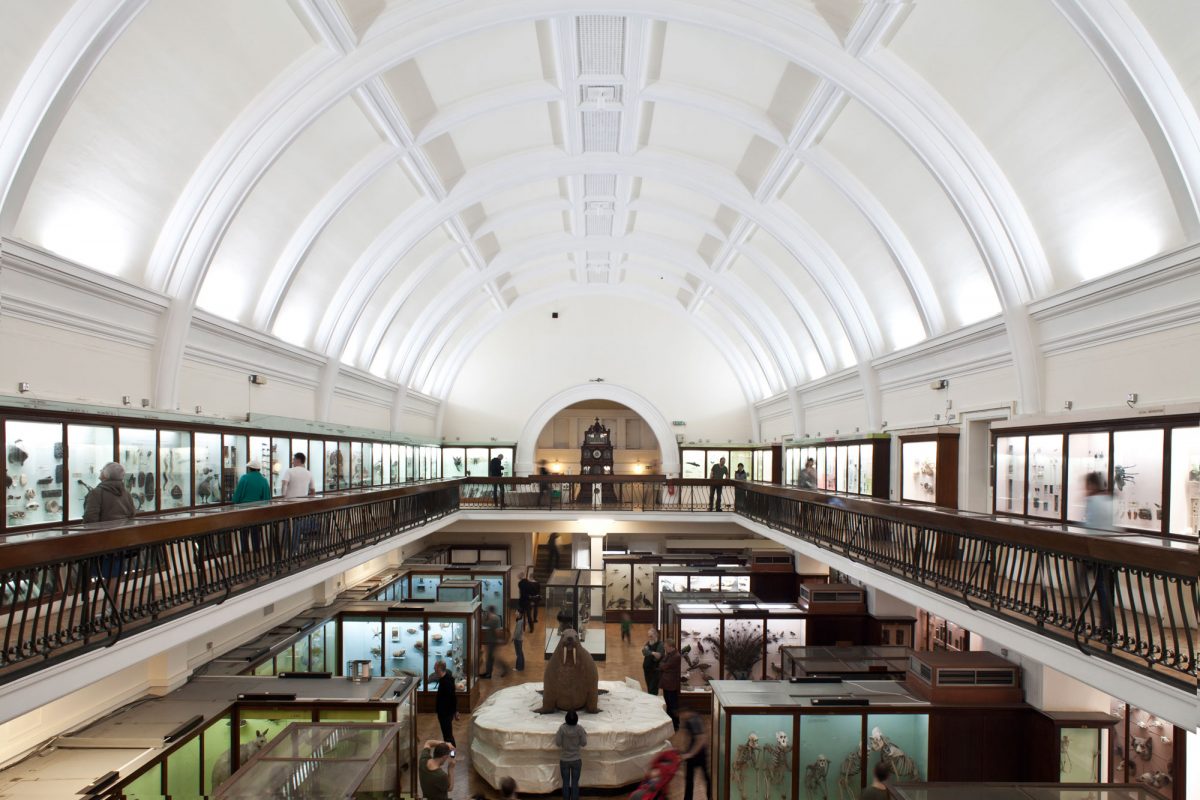 Horniman Museum and Gardens – Museums
