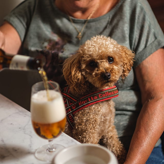 Köpmans Boutique Hotel