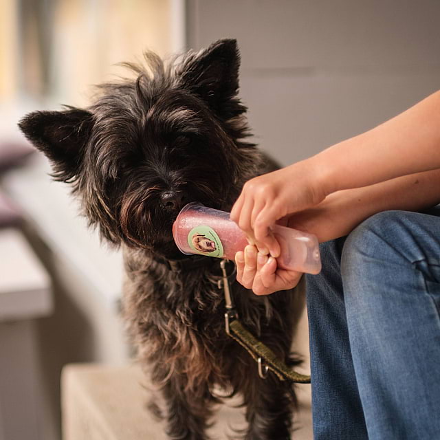 Köpmans Boutique Hotel