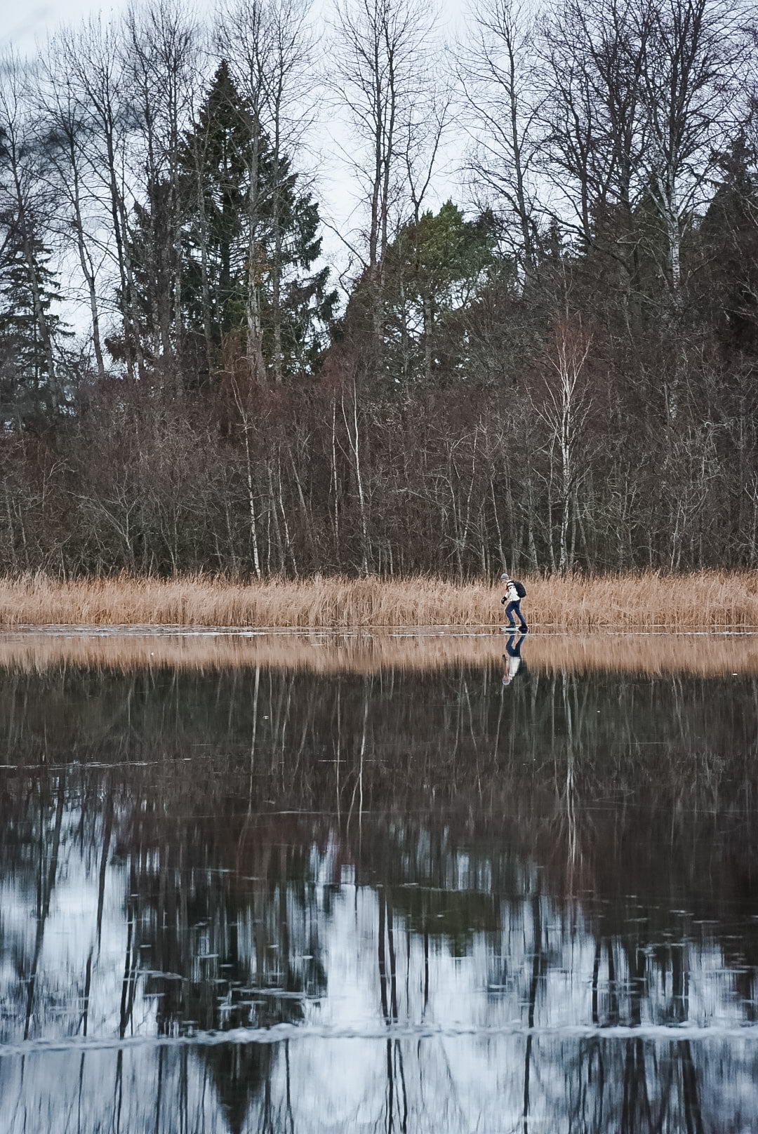 Skridskor på sjön Judarn – Photo from Judarskogens naturreservat by Marcus S. (04/04/2022)