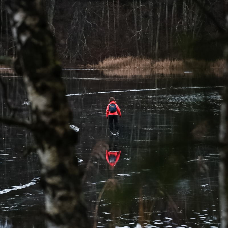 Skridskor på sjön Judarn - Bild från Judarskogens naturreservat av Marcus S.