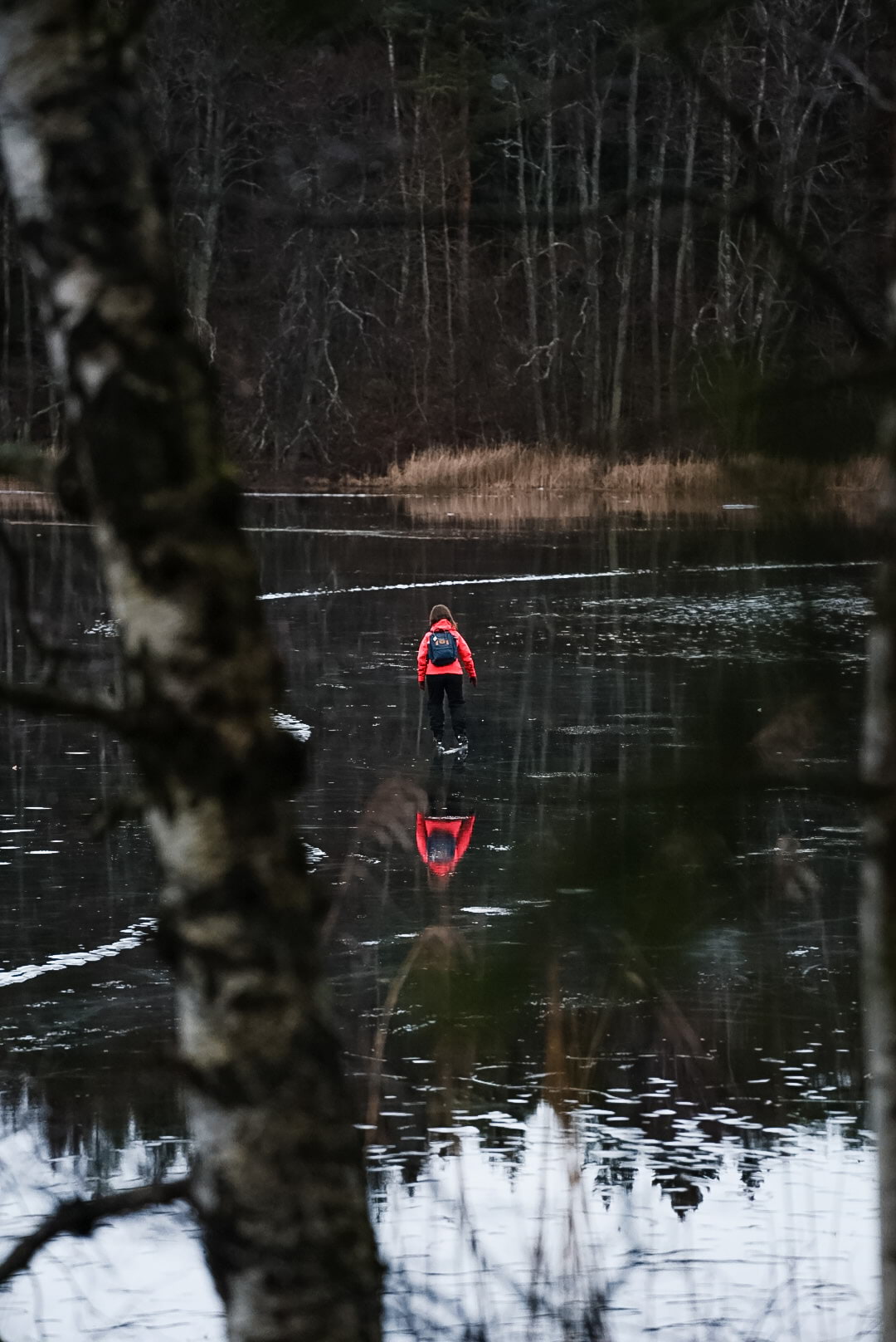 Skridskor på sjön Judarn – Bild från Judarskogens naturreservat av Marcus S. (2022-04-04)