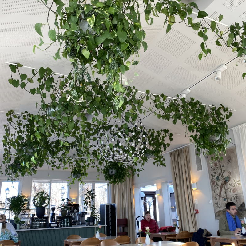 Interiör hos Karamellan – Bild från Karamellan Café & Restaurang på Drottningholm av Marcus S.