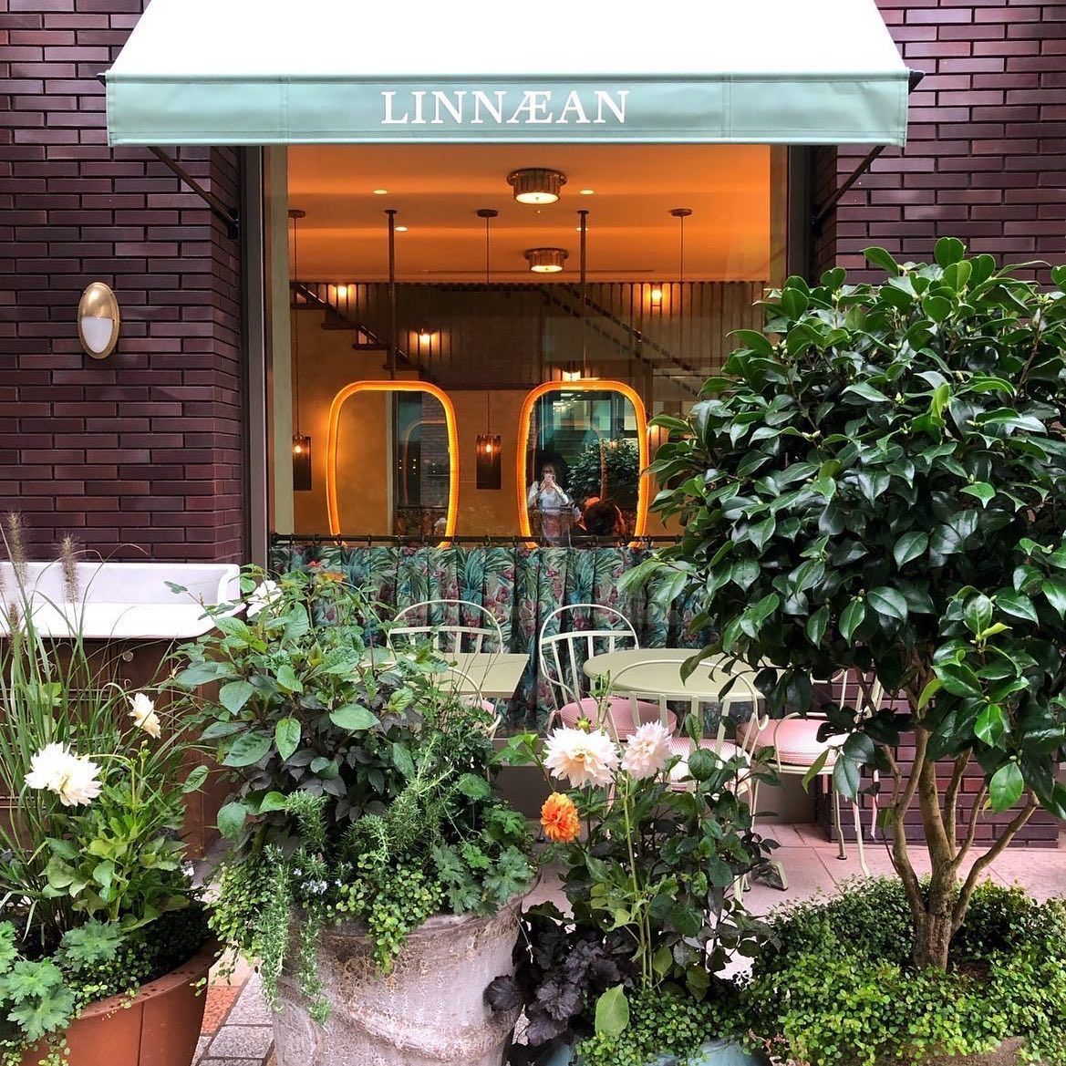 Linnaean – Beauty salons