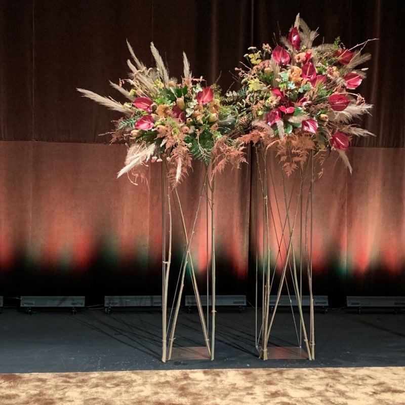 Bild från Ljungh's Blommor av Louise L. (2021-05-11)