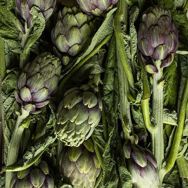 Baccal&agrave;