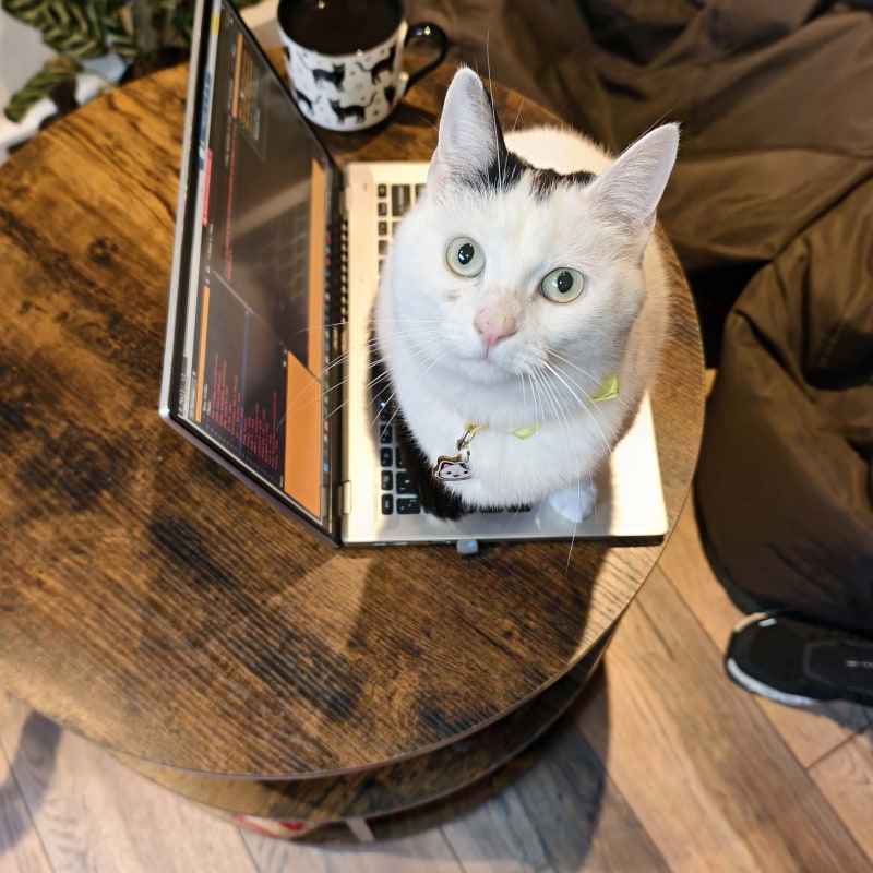 Photo from Cat-titude Cat Caf&eacute; by Yoanna&nbsp; (02/07/2026)