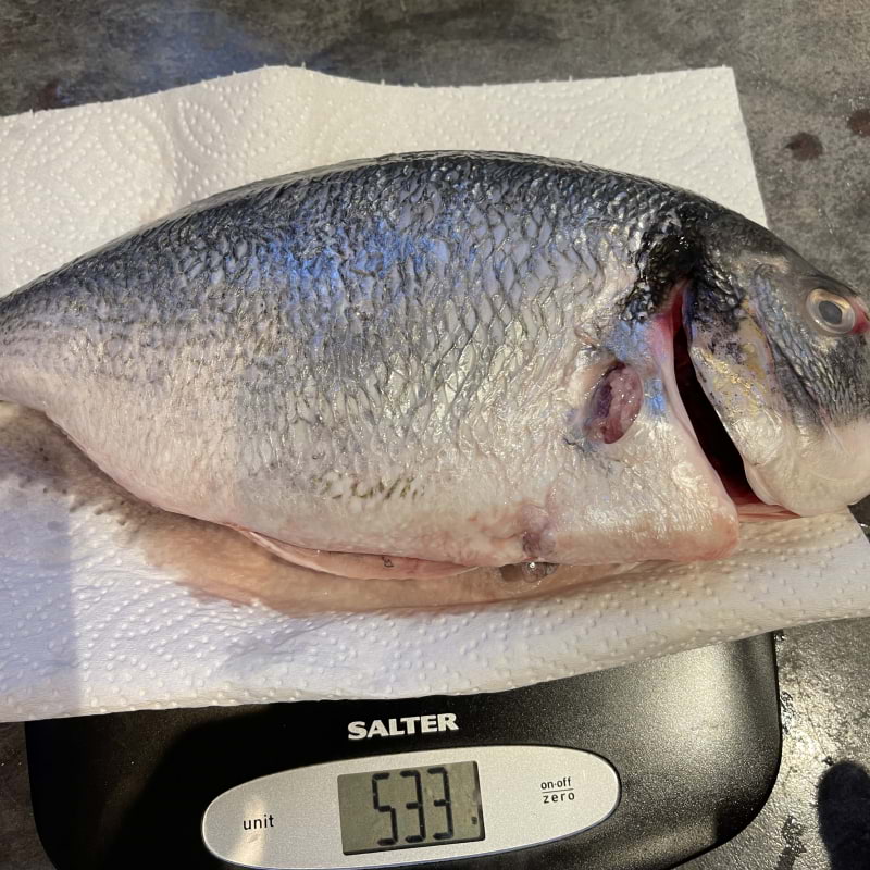 Photo from Camden Quality Fish by A S. (08/11/2024)