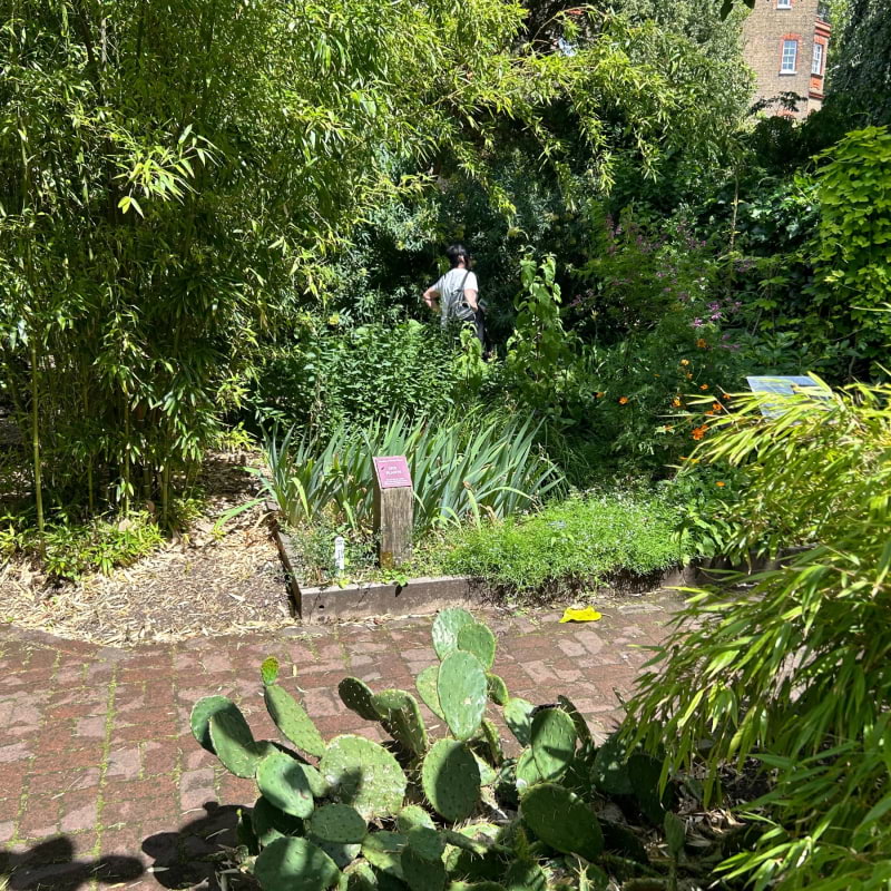 Chelsea Physic Garden – Photo from Chelsea Physic Garden by David L. (13/08/2024)