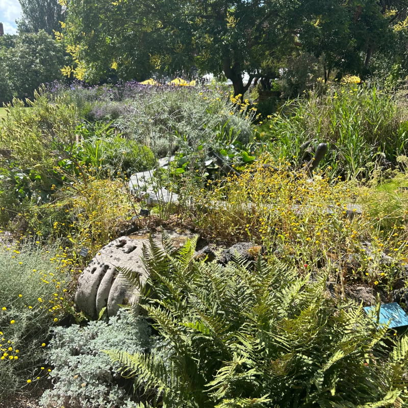 Chelsea Physic Garden