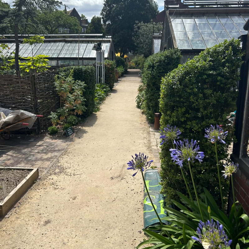 Chelsea Physic Garden – Photo from Chelsea Physic Garden by David L. (13/08/2024)