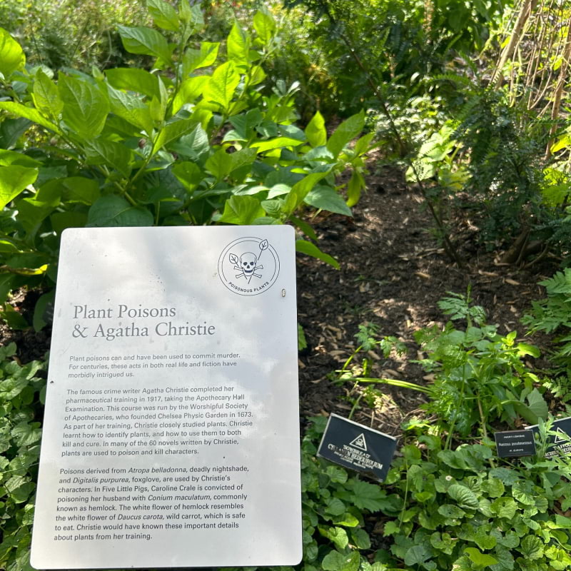 Chelsea Physic Garden – Photo from Chelsea Physic Garden by David L. (13/08/2024)