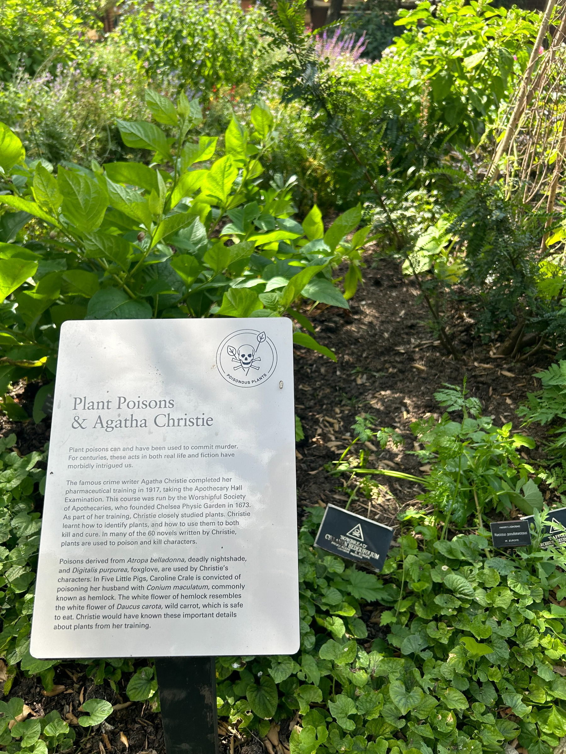 Chelsea Physic Garden – Photo from Chelsea Physic Garden by David L. (13/08/2024)