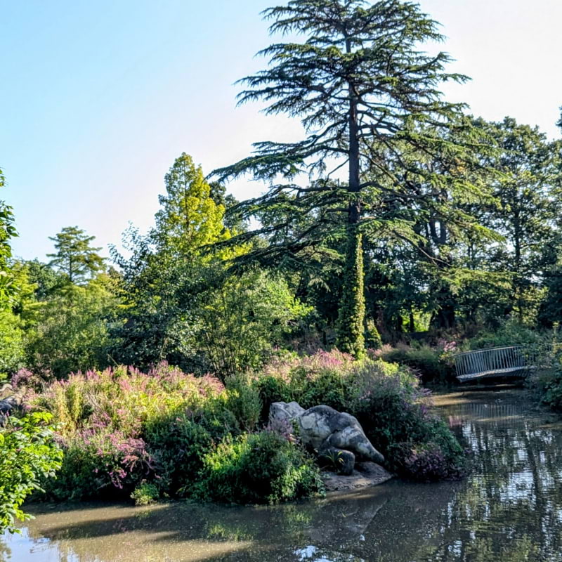 Photo from Crystal Palace Dinosaurs by Vesna D. (11/02/2025)