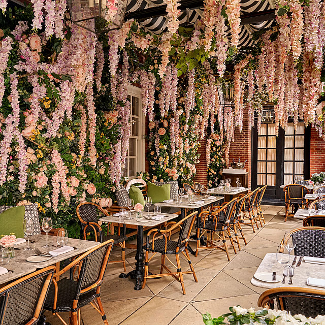 Dalloway Terrace