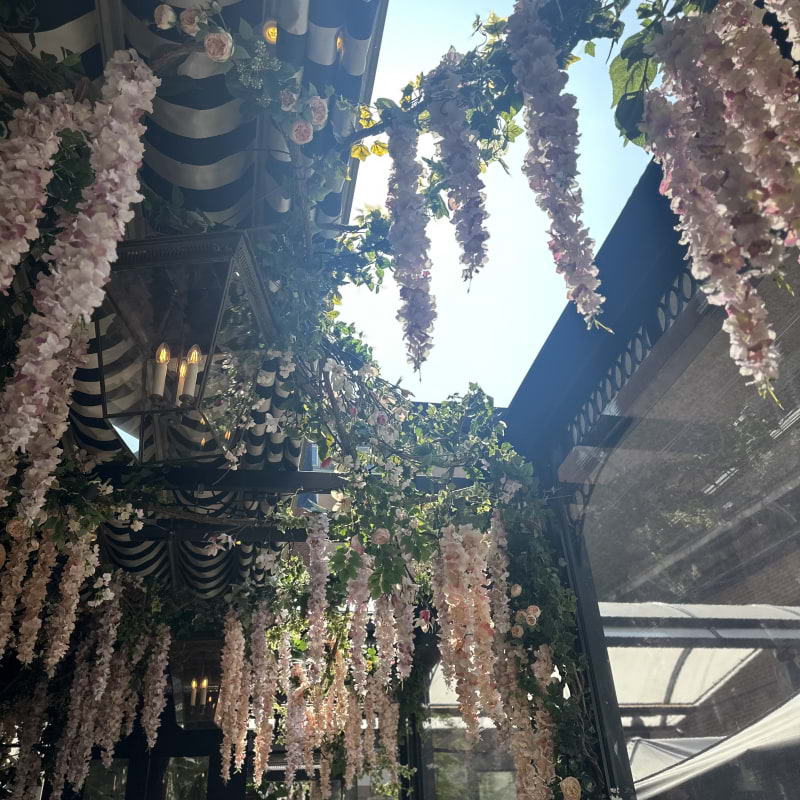 Bild från Dalloway Terrace av Daniel S. (2025-05-09)