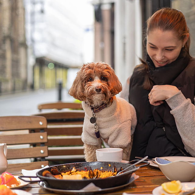 El Pirata of Mayfair