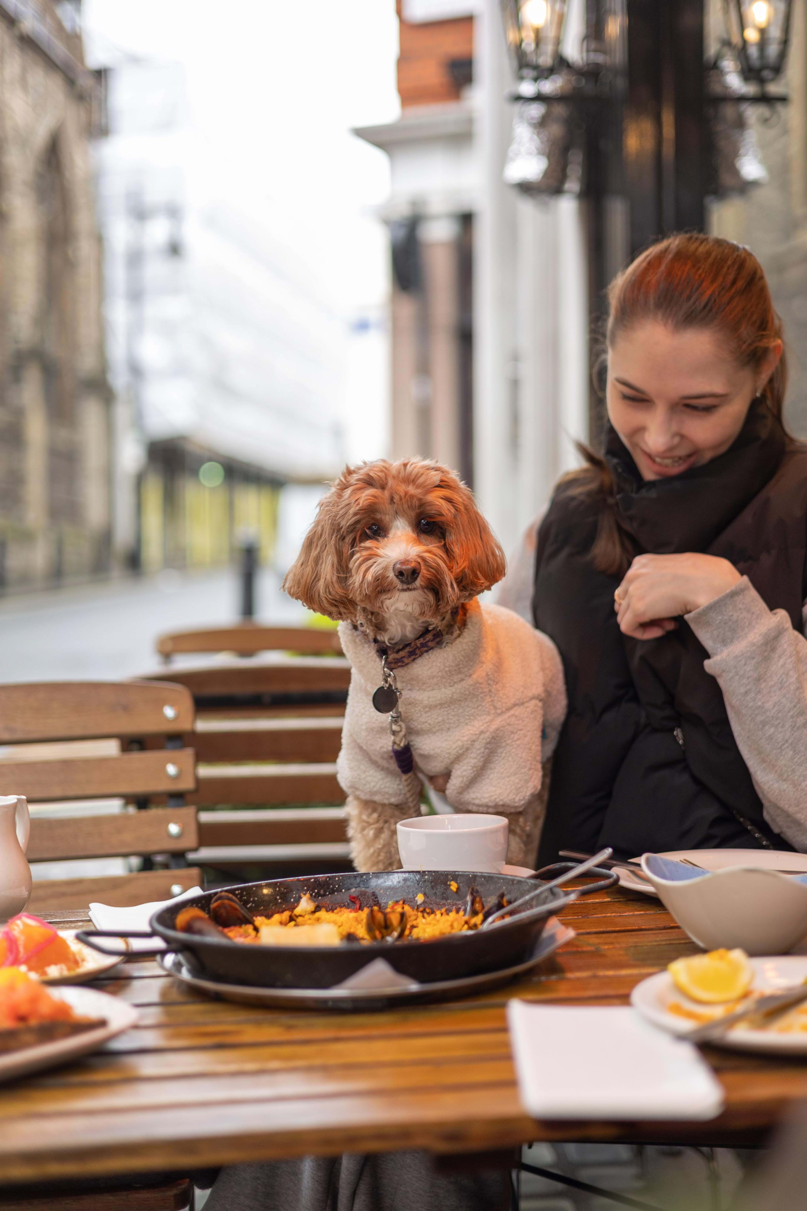 El Pirata of Mayfair – Outdoor restaurants