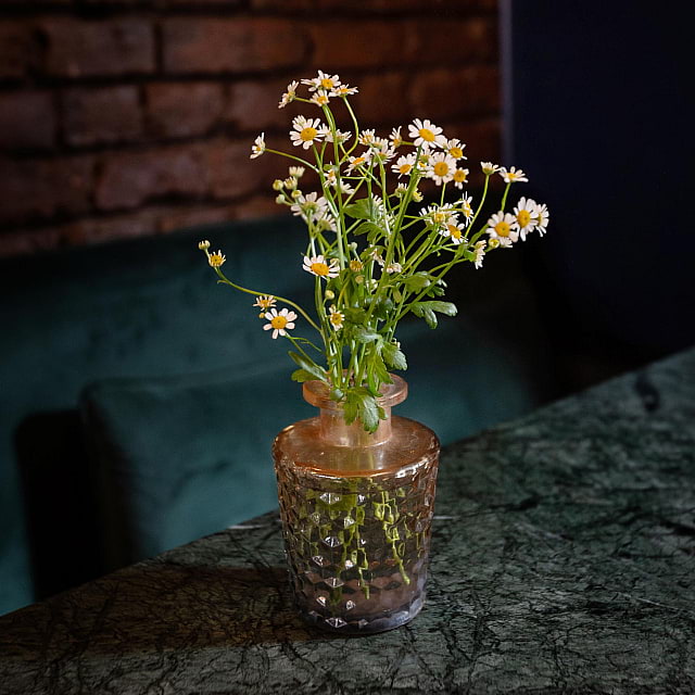 Fig & Walnut Mediterranean Kitchen