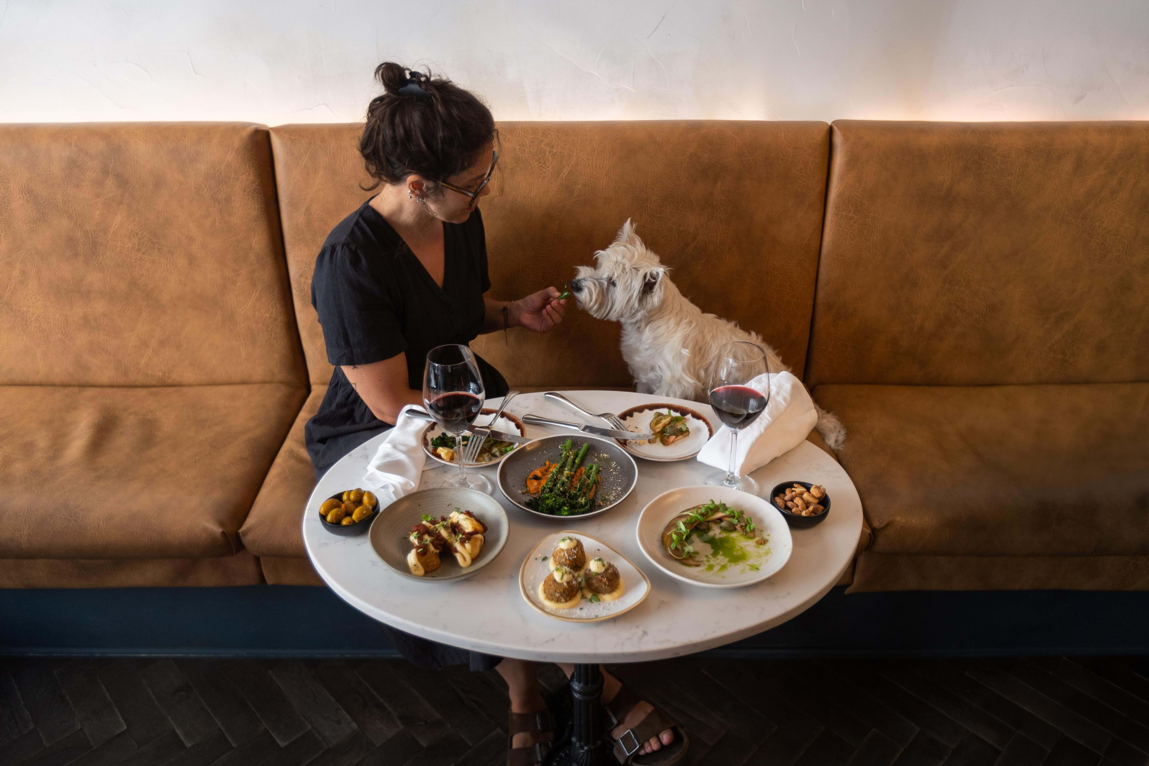 Frame Notting Hill – Vegetarian restaurants