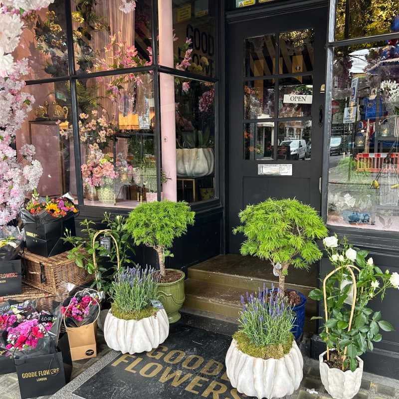 Bild från Goode Flowers Limited av Scott D. (2025-05-26)