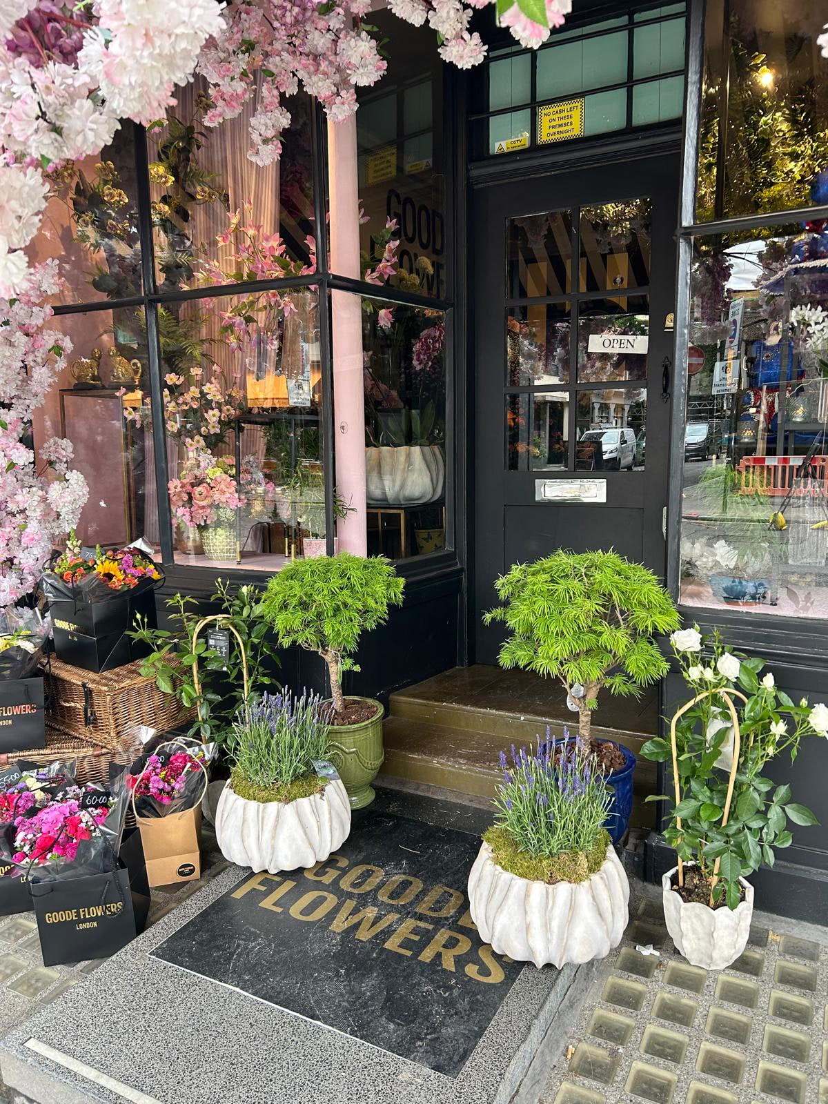 Photo from Goode Flowers Limited by Scott D. (26/05/2025)