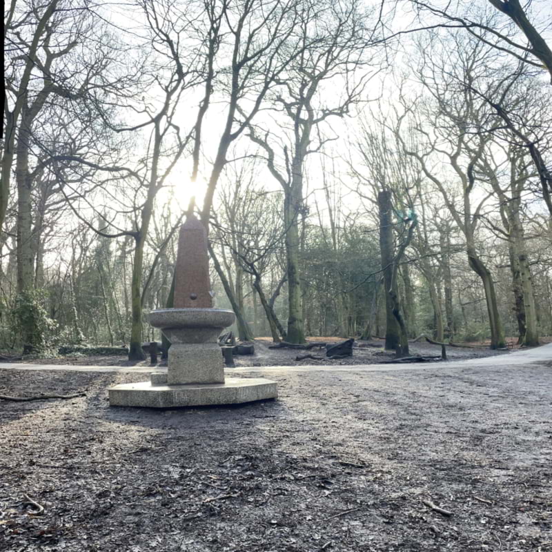 Photo from Highgate Wood by Tamsin S. (11/02/2024)