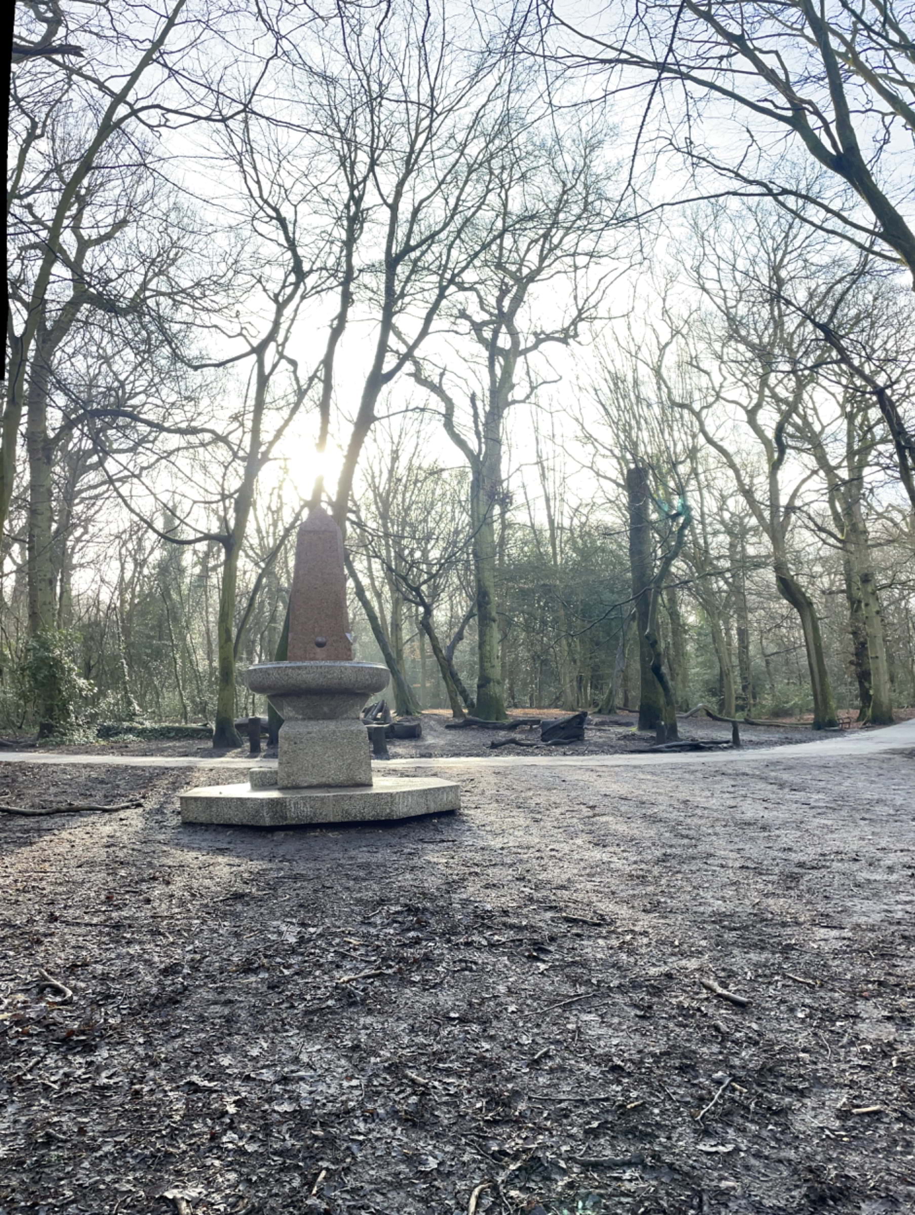 Photo from Highgate Wood by Tamsin S. (11/02/2024)