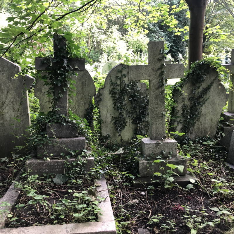 Photo from Highgate Cemetery by Tamsin S. (01/12/2023)