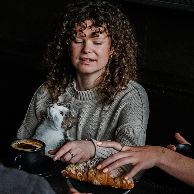 Java Whiskers Cat Café White City