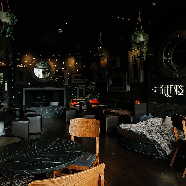 Java Whiskers Cat Café White City