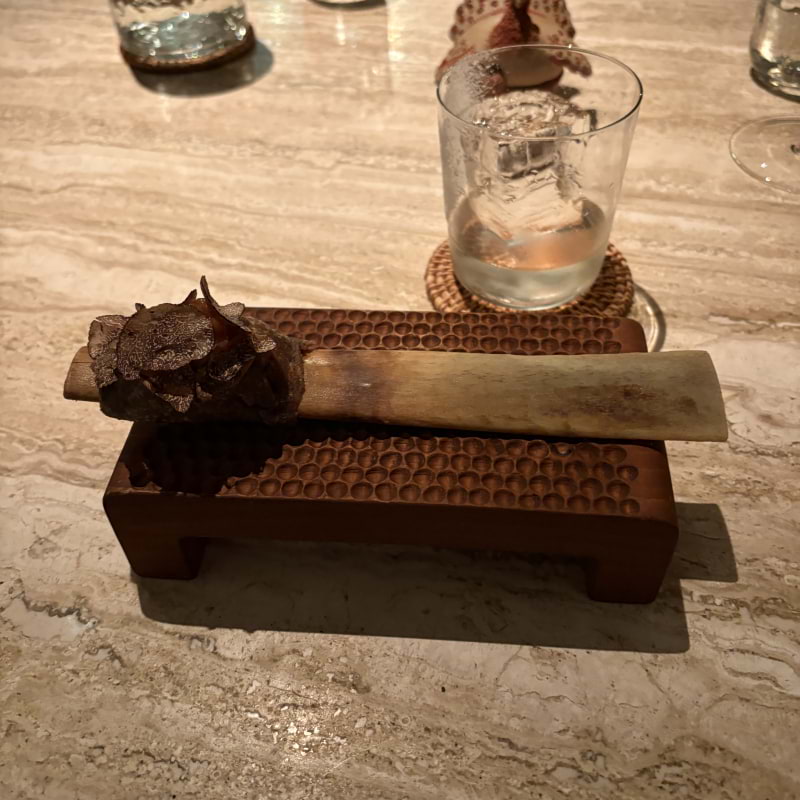 Photo from Kol by Fredric E. (11/12/2025)