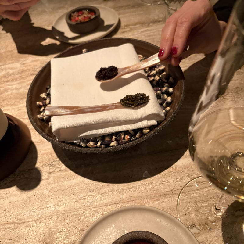 Photo from Kol by Fredric E. (11/12/2025)