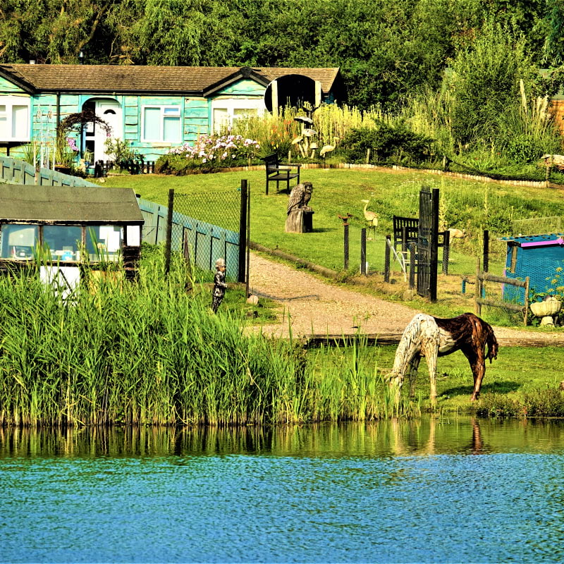 Bild från Lakeland Fishery av Susan B. (2025-06-13)