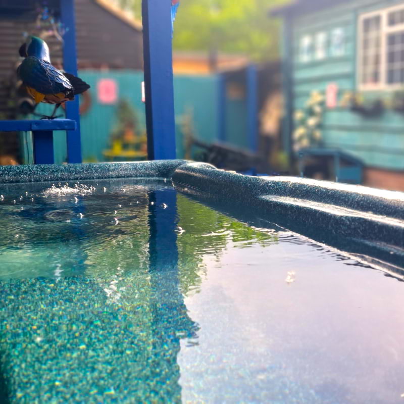 Bild från Lakeland Fishery av Susan B. (2025-06-13)