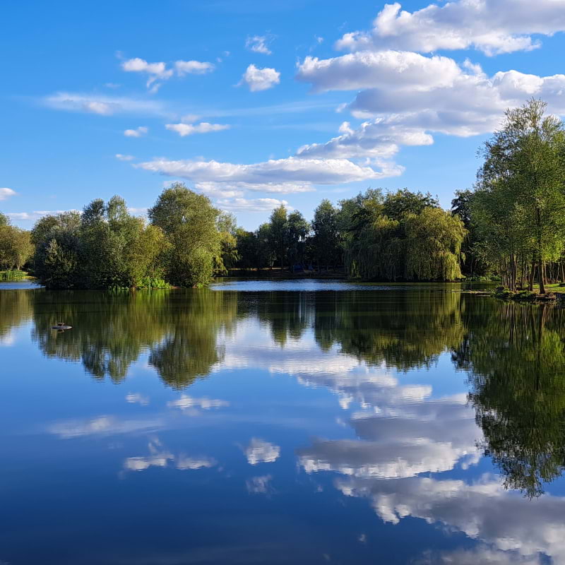 Bild från Lakeland Fishery av Susan B. (2025-06-13)