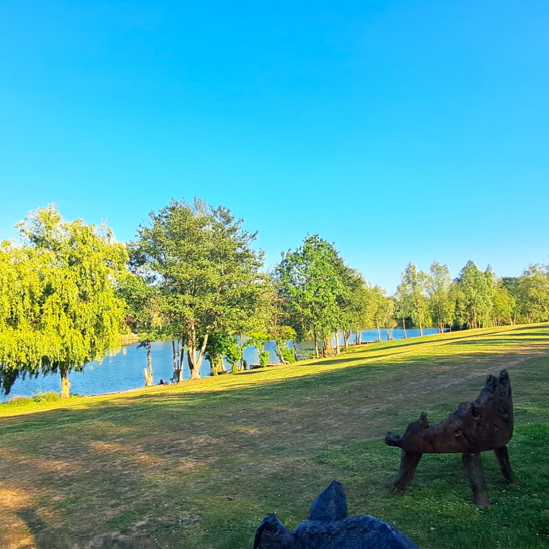 Bild från Lakeland Fishery av Susan B. (2025-06-13)