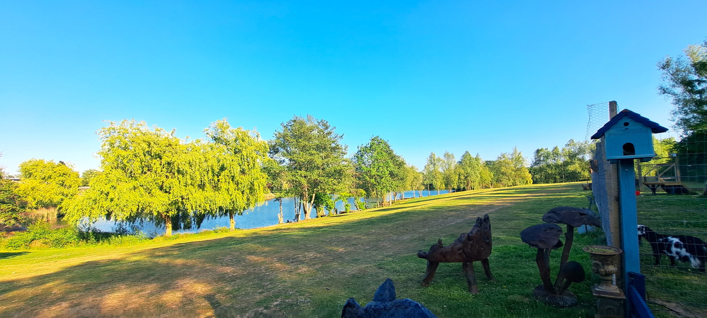 Photo from Lakeland Fishery by Susan B. (13/06/2025)